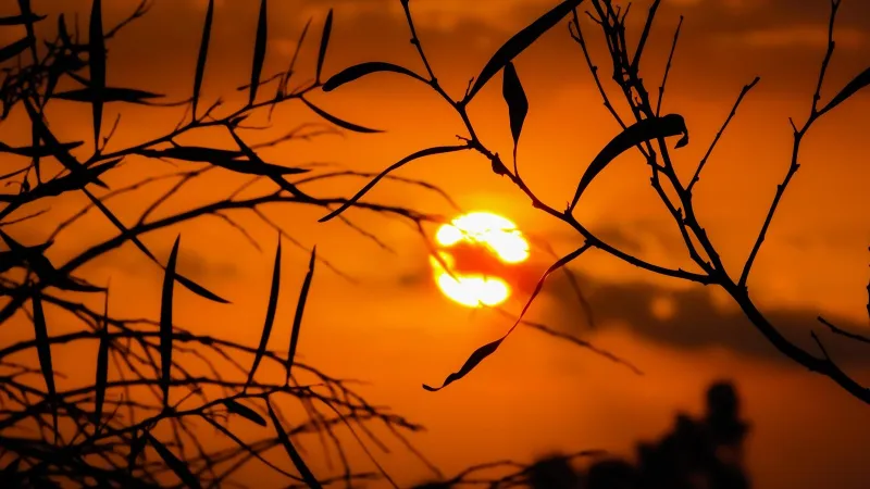 40 dereceye yaklaşıyor! Meteoroloji uyardı, bu 14 şehrimizde 23 Haziran Pazartesi günü hava sıcaklıkları çok yüksek
