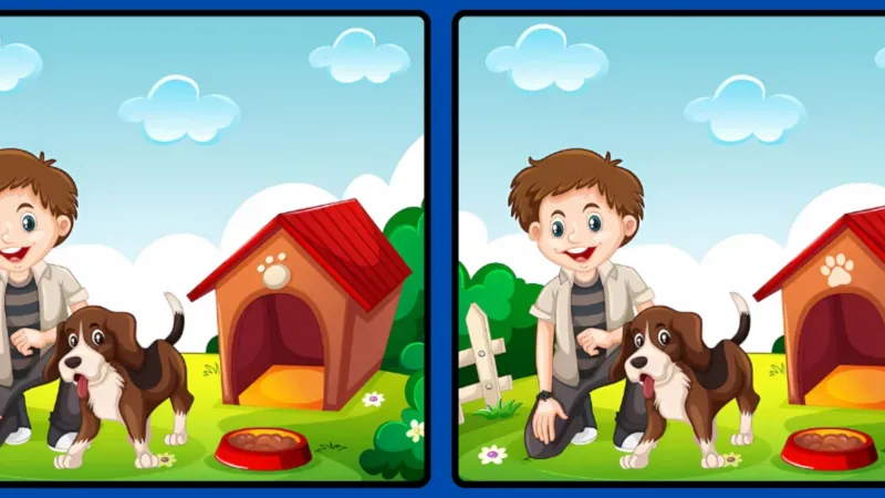 Köpek Sevgisi: Bu Resimdeki 3 Farkı 12 Saniyede Bulabilecek misin?