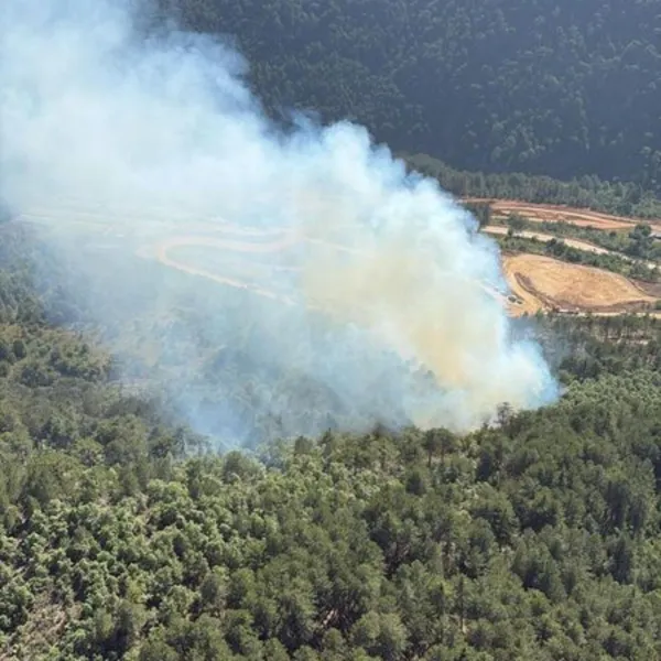 Balıkesir'de Korkutan Yangın! Ormanlar Alevlere Teslim Mi?