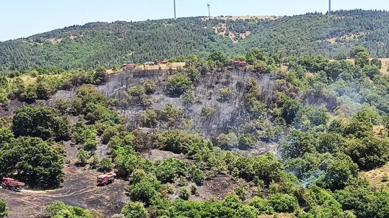 Balıkesir'de orman yangını