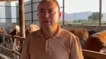 Manisa'da Dana Saldırısı! İş İnsanı İbrahim Külahlı Hayatını Kaybetti