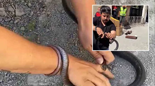 Yılancı Kemal'in Kabusu! Yılanı Yakalarken Parmağını Kaptırdı