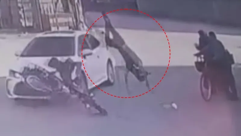 Hatay'da feci kaza: Otomobil ile motosiklet çarpıştı | Savrulan şahıs yaşlı çifte böyle çarptı!