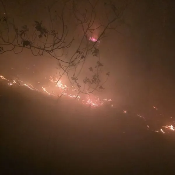 Hatay'da ormanlık alanda yangın çıktı