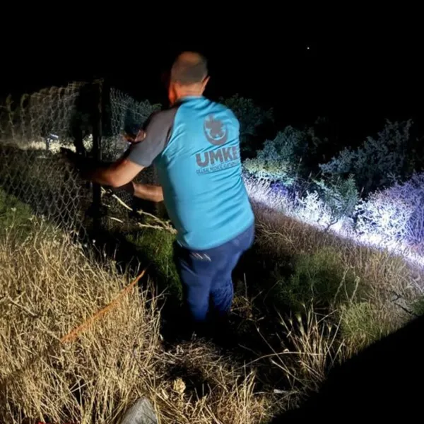 Siirt'te Korkunç Kaza! 13 Yaşındaki Çocuk Kayalıklardan Düştü