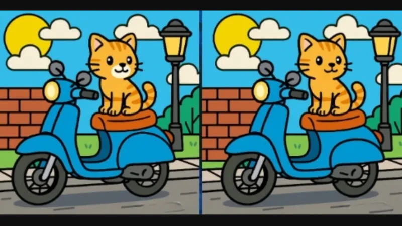 IQ'nuz Yüksek mi? Motosikletteki Kediler Arasındaki 3 Farkı Bul!