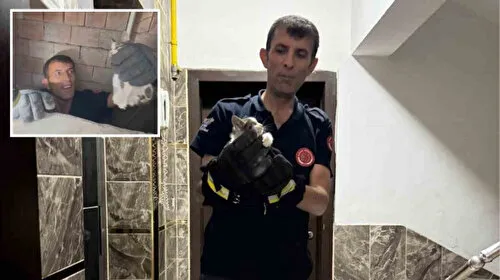 Yavru Kedi Bina Boşluğuna Düştü! İtfaiye Kurtardı
