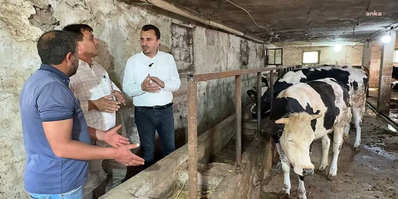 Manisa'da Besici İsyanı! CHP'li Vekile Kurban Bayramı Feryadı