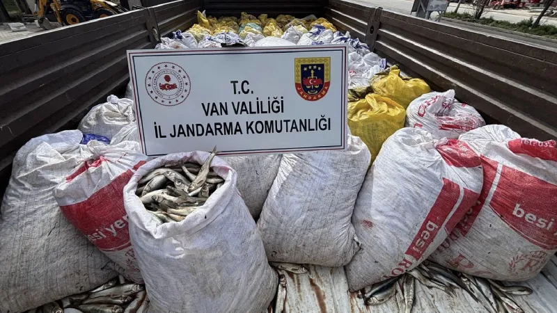 Van'da Rekor Kaçak İnci Kefali Baskını! Balıklar Nereye Götürülüyordu?