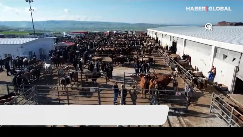 Kurbanlıklar Elde Kaldı! ESK'dan Şok Karar! Ne Yapılacak?