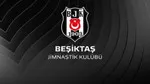 Beşiktaş'a UEFA'dan Şok Ceza! Kara Kartal Ne Yapacak?