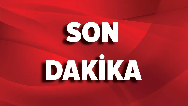 Arı Kuşları Anadolu'da! Arı Kolonileri Tehlikede mi?