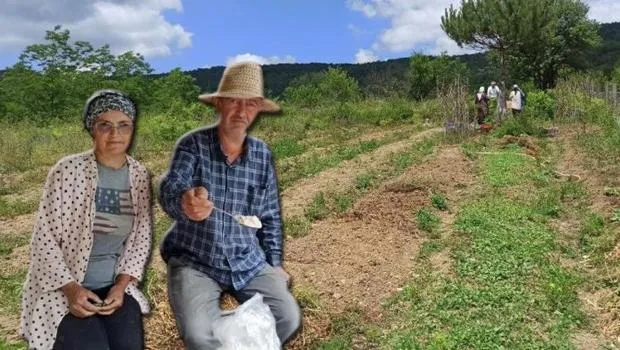 Zonguldak'ın Devrek ilçesine yerleşerek bir ilke imza attılar! 'Çok merak eden, soran var'